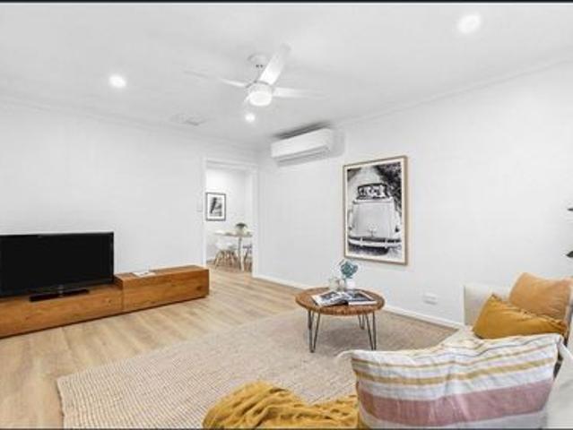 Stylishly updated home with exceptional shedding