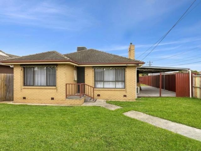 Stylishly updated home with exceptional shedding