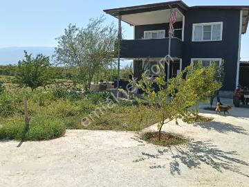 Nazilli, Aydın ili, Ege Bölgesi - Bahçe