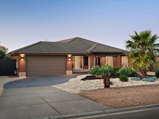 Summerfield Family Entertainer