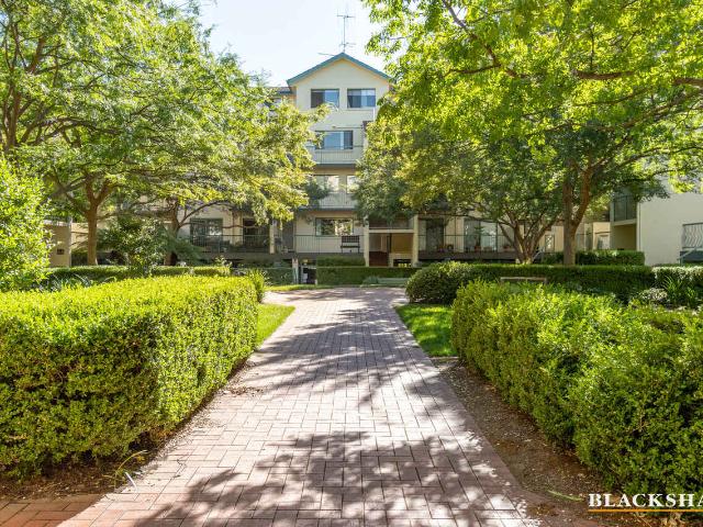 Sun Filled Apartment Living in the Heart of Kingston