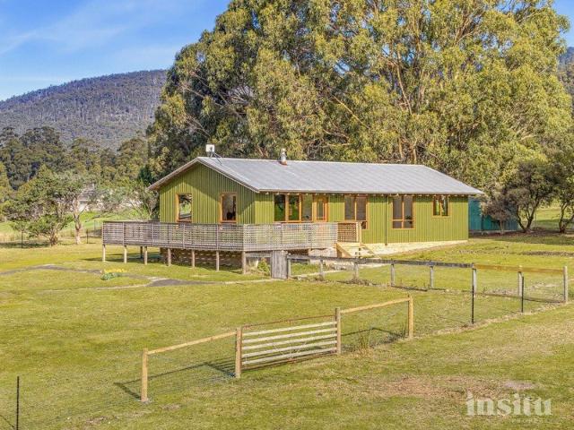 Sun filled Lifestyle Living on Over Three Acres