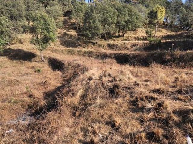 Sunhil Mukteshwar Hills,Mukteshwar Residential Plot For Sale Nainital