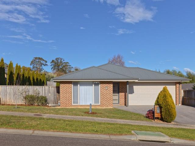 Sunlit Comfort and Space in Prime Jackson Views Location