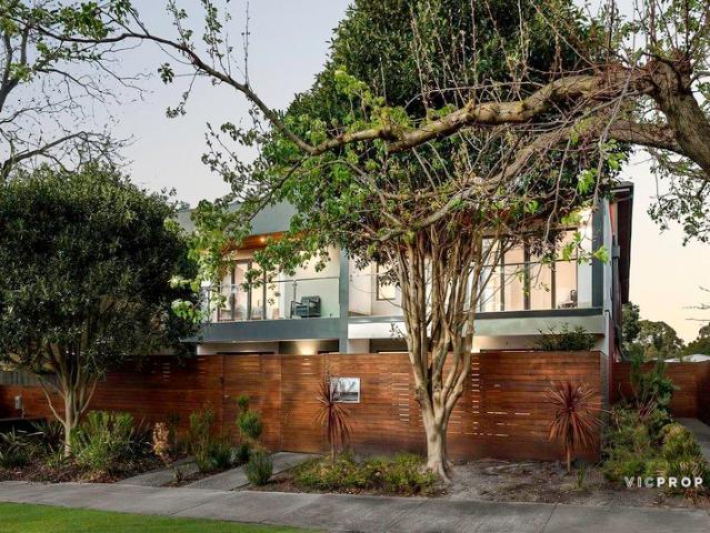 Sunlit Contemporary Living in a Leafy Setting