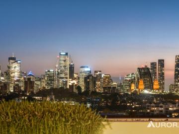 Sunlit Days, Captivating City Lights