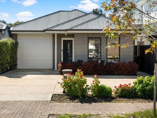 Sunlit Style & Family Comfort Moments From Prospect's Pulse