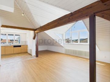 Sunny 3.5 room penthouse apartment in the center of the city of Wil SG / 95 m2
