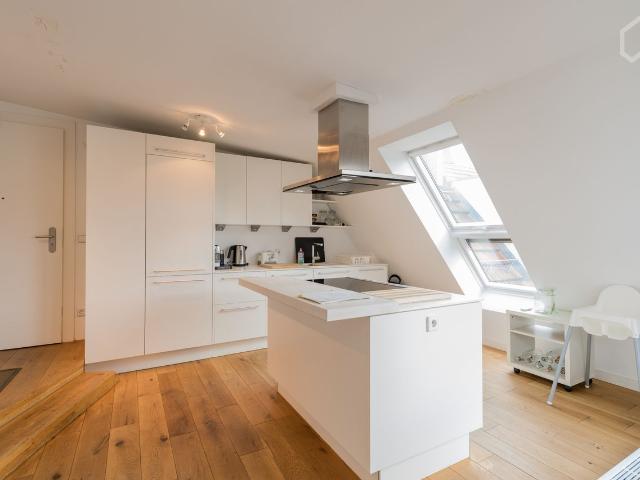 Sunny and calm Luxury penthouse 2 bedroom 2 bathroom apartment, Berlin Amsterdam Apartments for Rent