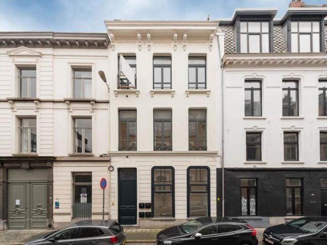 Sunny and luxurious spacious apartment!
