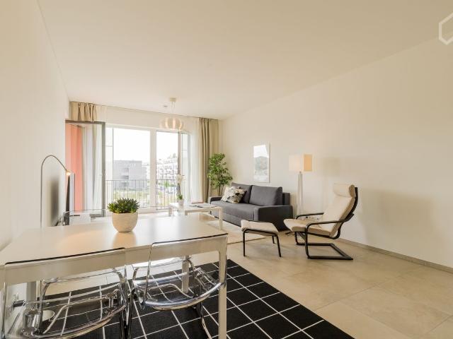 Sunny and Serene Riverside Apartment, Berlin Amsterdam Apartments for Rent
