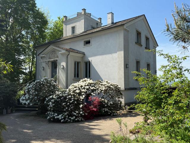 Sunny apartment in a prime location on Dresden's Elbe hillside, Dresden Amsterdam Apartments for Rent