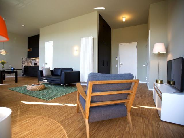 Sunny apartment near government district with frontal view on the park. Private parking included Berlin Amsterdam Apartments for Rent