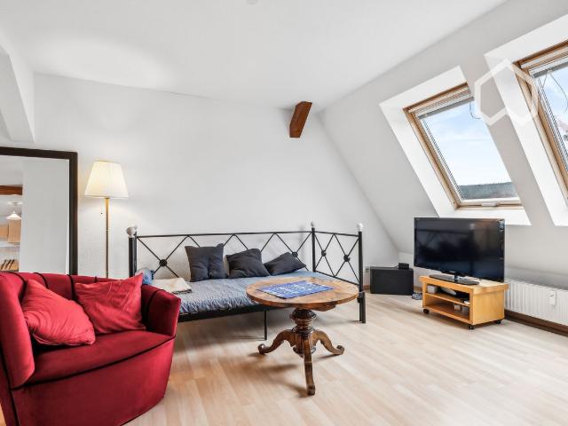 Sunny centrally located top floor apartment, Jena Amsterdam Apartments for Rent