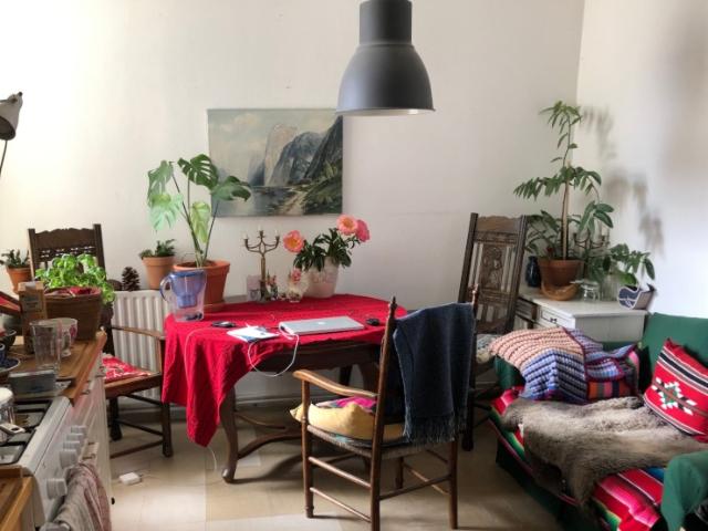 Sunny, cozy, colourful flat in Berlin 29.12.2026 23.1.2027*!