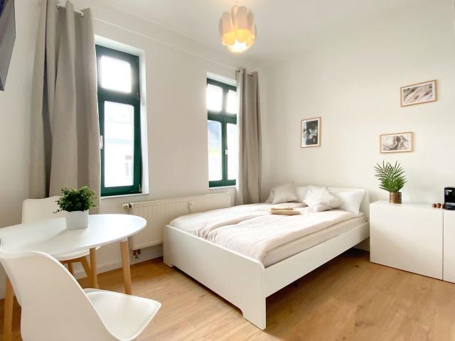 Sunny, cozy studio in Plagwitz, Leipzig Amsterdam Apartments for Rent