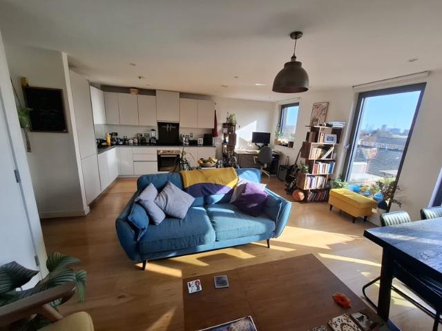 Sunny Dalston entire 1 bed flat 6 week sublet