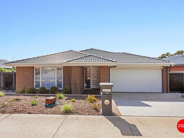 Sunny Family Haven with Deck & Big Backyard