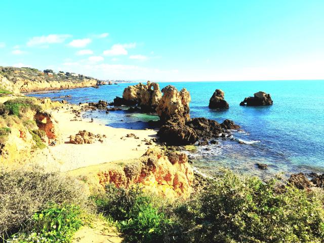 Sunny flat Tropicana in Albufeira Gale