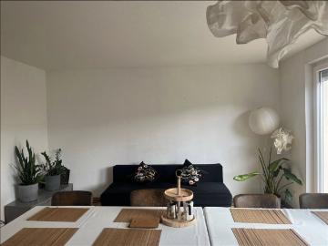 Potsdam, Havelland, Sachsen-Anhalt - Garten