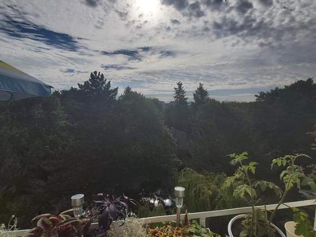 Sunny home by the water in Kreuzberg, Berlin Amsterdam Apartments for Rent