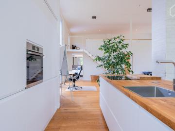 Sunny loft with large terrace and views of the treetops