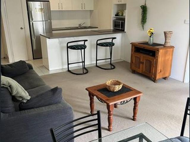 Sunny modern 1 bedroom apartment