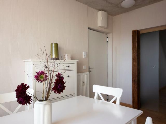 Sunny petit apartment located in a quiet neighbourhood, Vienna Amsterdam Apartments for Rent