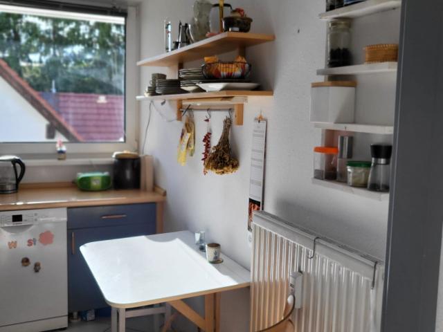 Sunny, quiet apartment in Babelsberg, Potsdam Amsterdam Apartments for Rent