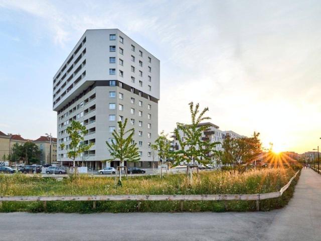 # SUNNY SONNWENDVIERTEL HELL, KLEIN UND FEIN!#