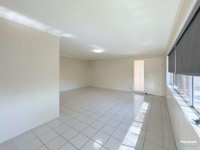 Sunnybank Hills State School Catchment Comfortable Low Set Home