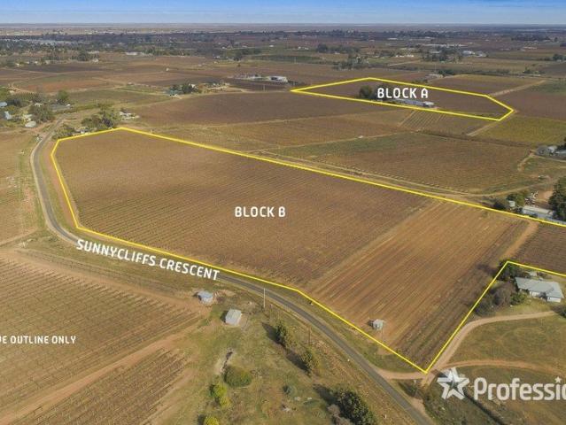 Sunnycliffs Table Grape Property 31 Acres