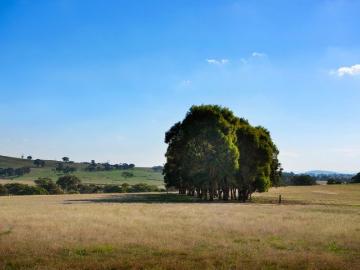 SUNSETS AND SERENITY Lifestyle Block Minutes from Maldon