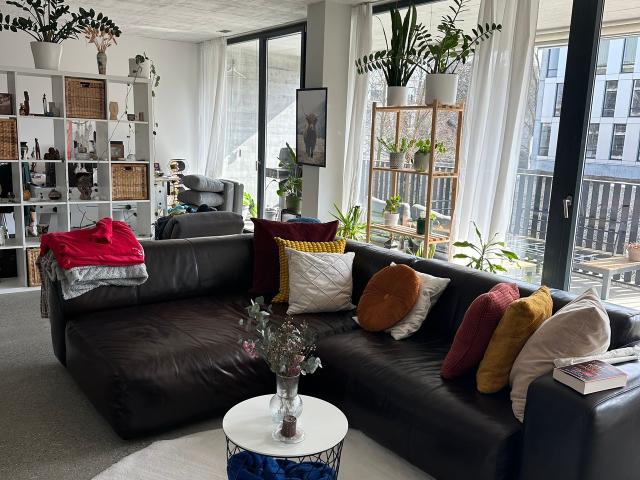 Subtenant wanted for furnished loft apartment in central Aarau, Aarau Amsterdam Apartments for Rent