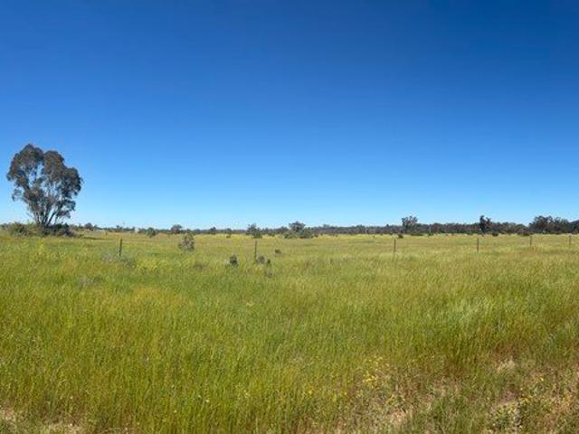 Subdividable Land with Electricity and Town Water Available