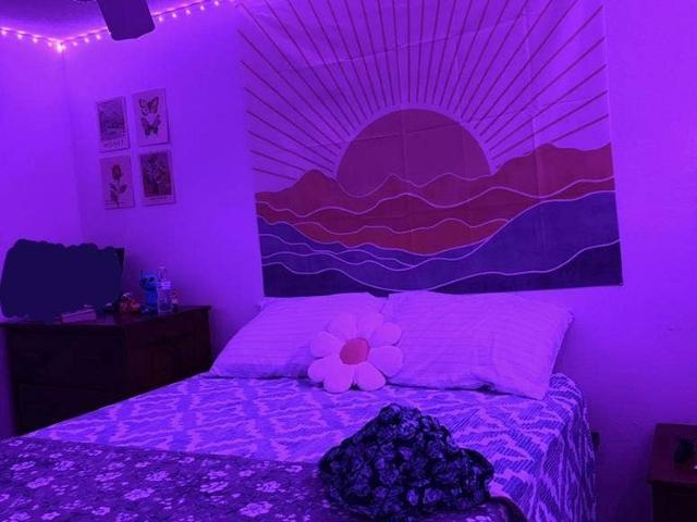 Sublease @ Forest Lake Near USF