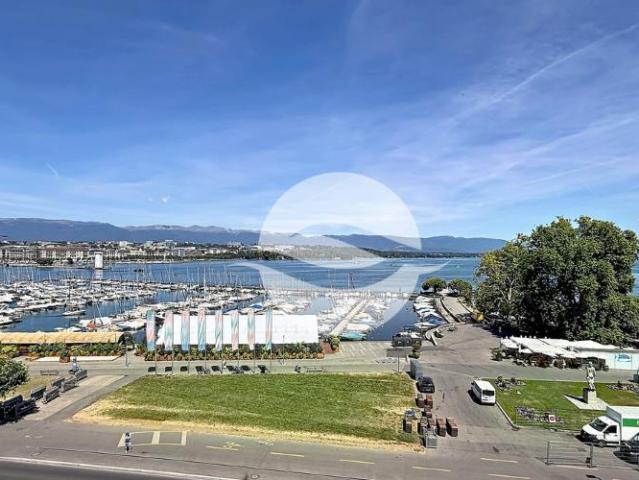 Sublime appartement, spacieux avec vue sur le lac et le jet d'eau!