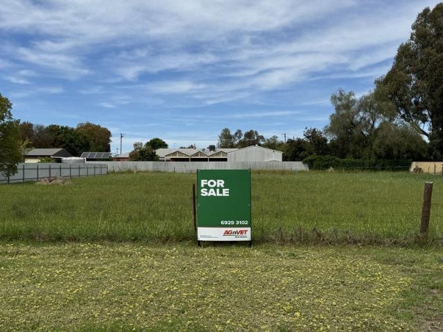 Substantial 2,023m² Allotment in Culcairn