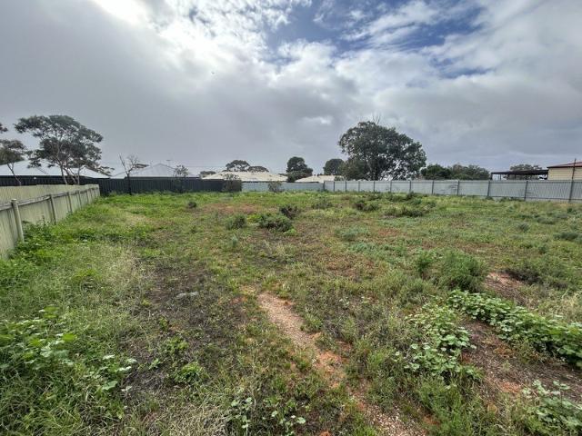 Substantial Allotment with Exciting Possibilities