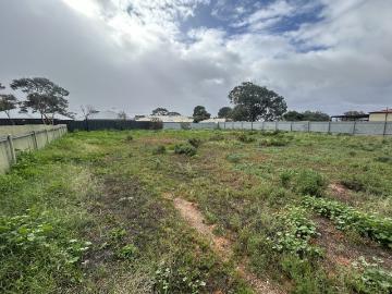 Substantial Allotment with Exciting Possibilities