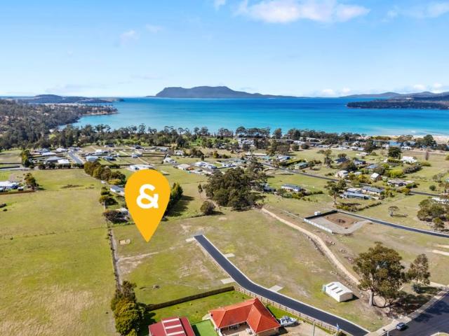 Substantial Blocks, Sweeping Views Alma Road Land Release