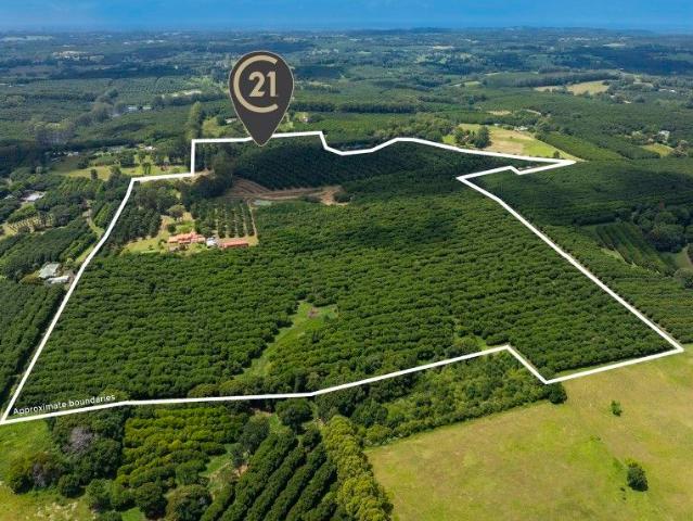 SUBSTANTIAL LAND HOLDING TWO TITLES