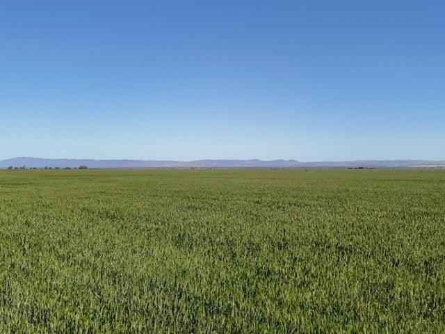 Substantial Mixed Farming Opportunity
