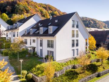 Stallikon - Sellenbüren, Stallikon, Bezirk Affoltern, Kanton Zürich