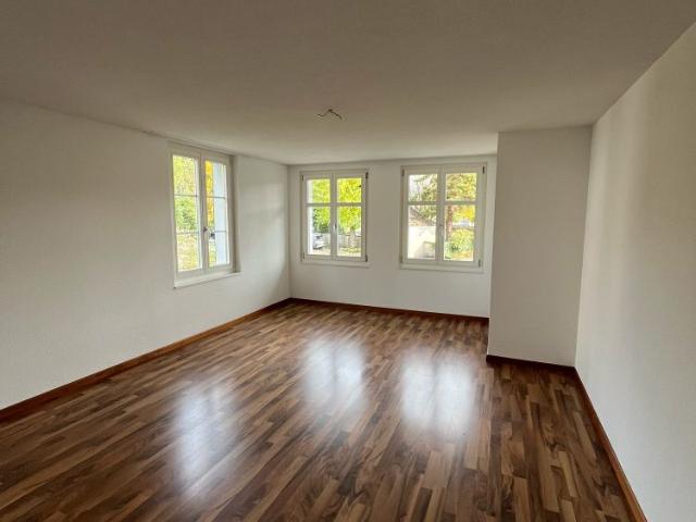 Suchen Sie ein neues schönes Zuhause mit grossem Gartensitzplatz?