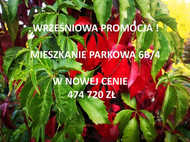 Suchy Las, Biedrusko, Poznań, ul. Parkowa