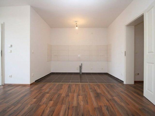Exklusive 3 Zimmerwohnung im Neubau |Balkon| Aufzug | Tageslichtbad mit Dusche | Stellplatz