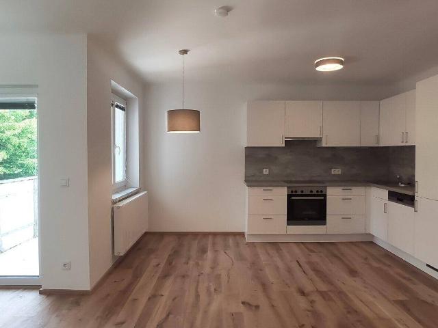 SÜDWESTLAGE IN DORNBACH: BALKONWOHNUNG MIT GRÜNBLICK