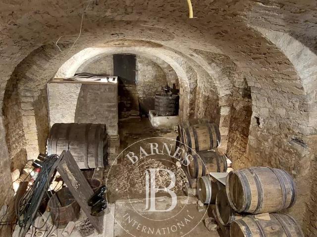 Sud Aveyron Chateau 890m² Millau