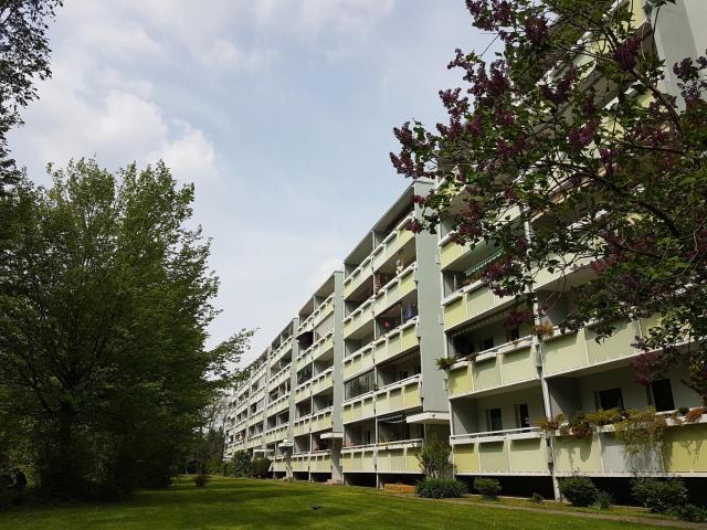 Südbalkon, freier Blick ins Grüne, 4Raumwohnung